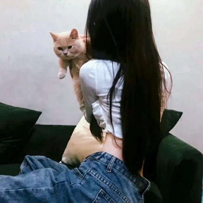 血之泪